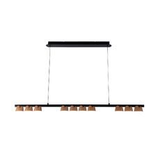 Подвесная люстра Favourite Interline 4266-10P