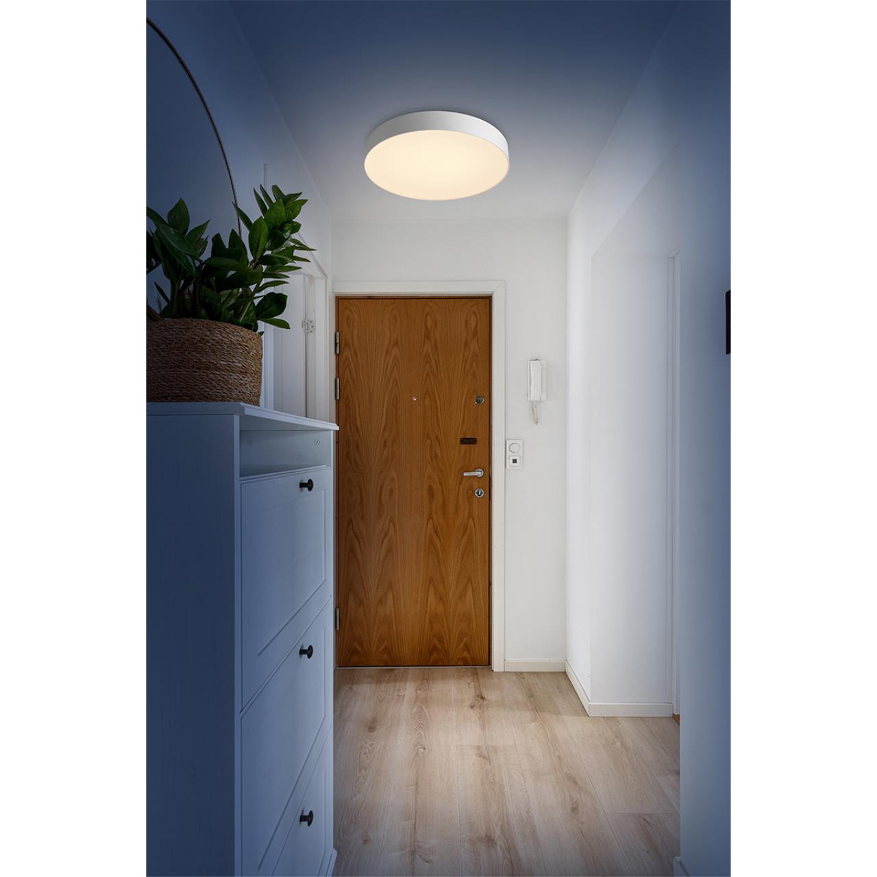 Настенно-потолочный светильник Sonex OPTIMA 7779/EL_Sonex