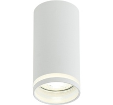 Потолочный светильник IL.0005.2000 WH Imex IL.0005.2000 WH_IM