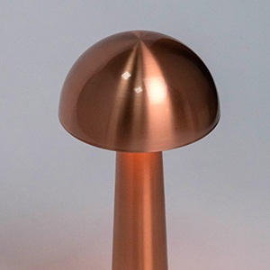 Настольная лампа Escada 10257/L LED_ESC