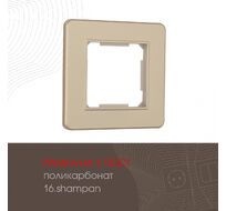 Рамка из поликарбоната на 1 пост Arte Milano 502.16-1.shampan