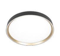 Потолочный светильник Citilux BOSS CL751451G
