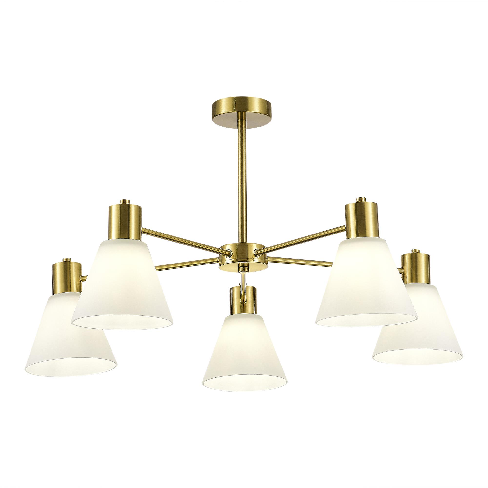 Потолочная люстра Evoluce ARKI SLE1561-302-05