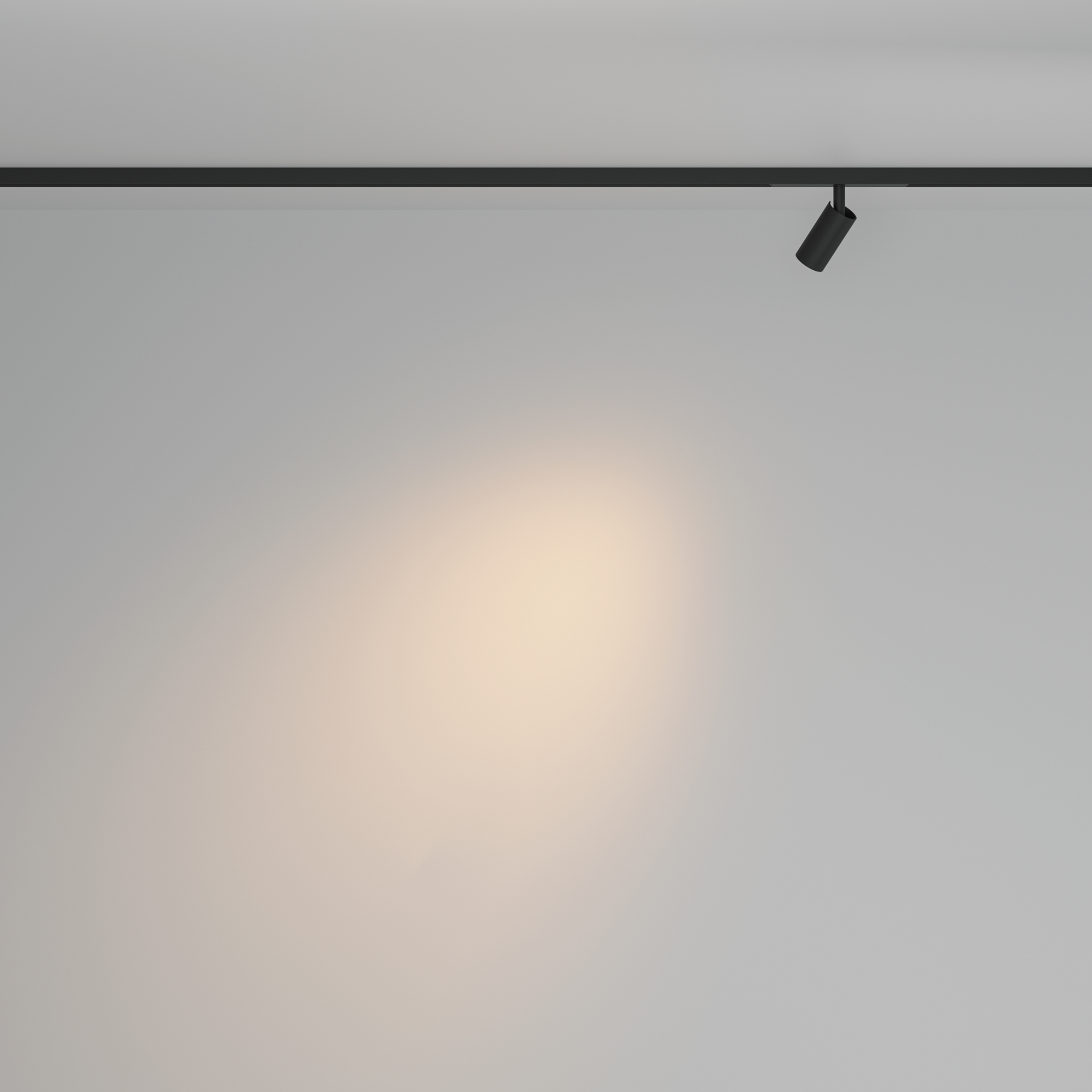 Трековый светильник Maytoni Focus Led TR176-1-3WTW-M-B_MY