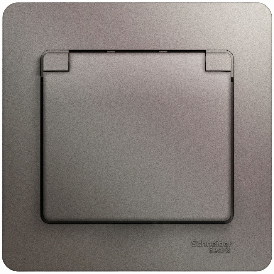 Розетка встраиваемая с заземлением, шторками и крышкой (платина) Systeme Electric GSL001246