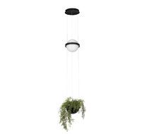 Подвесной светильник Loft IT Jardin 10121/B_LF