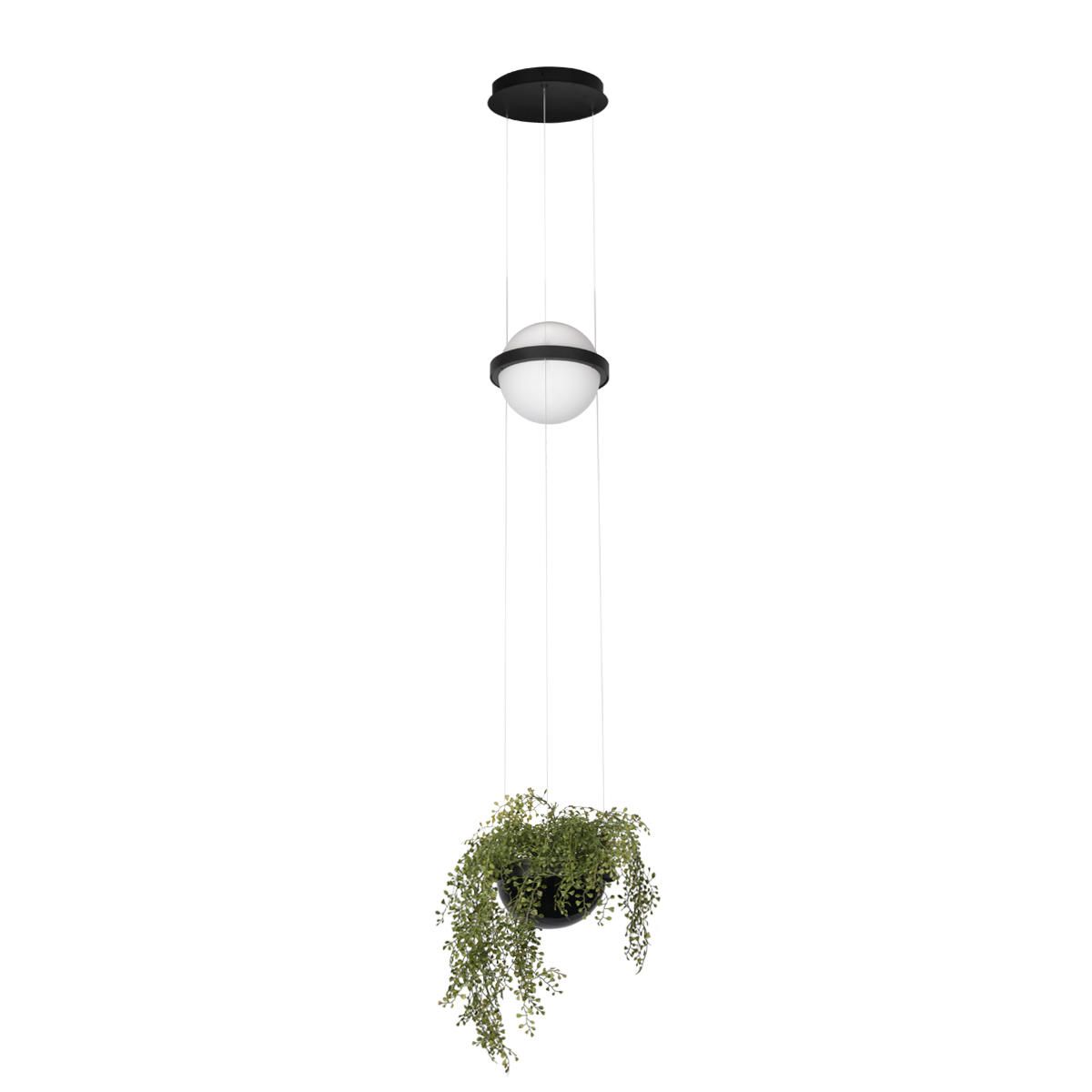 Подвесной светильник Loft IT Jardin 10121/B_LF