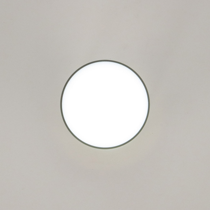 Накладной светильник CitiLux Борн CL745011N