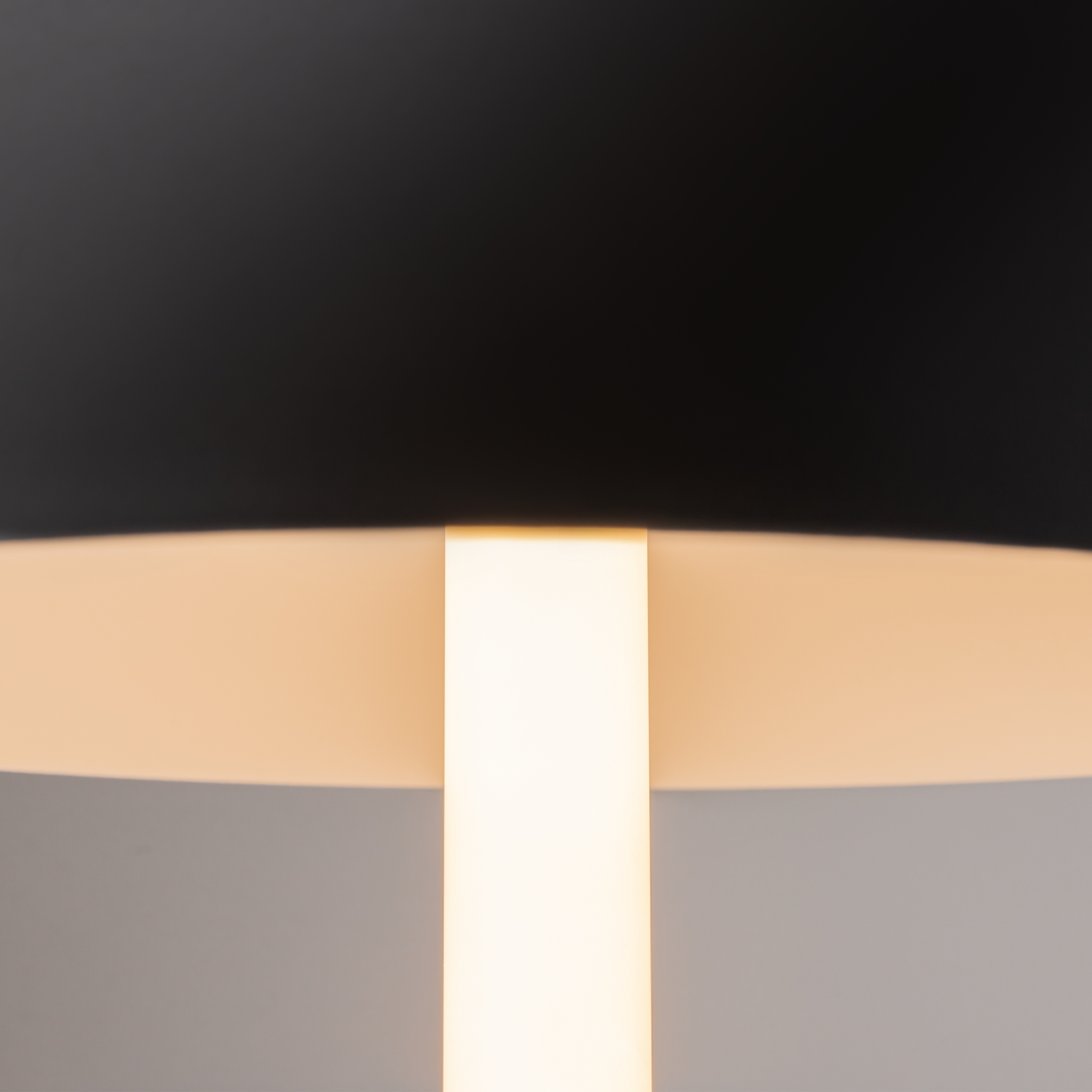 Настольная лампа Maytoni Ray Z012TL-L8B3K_MY