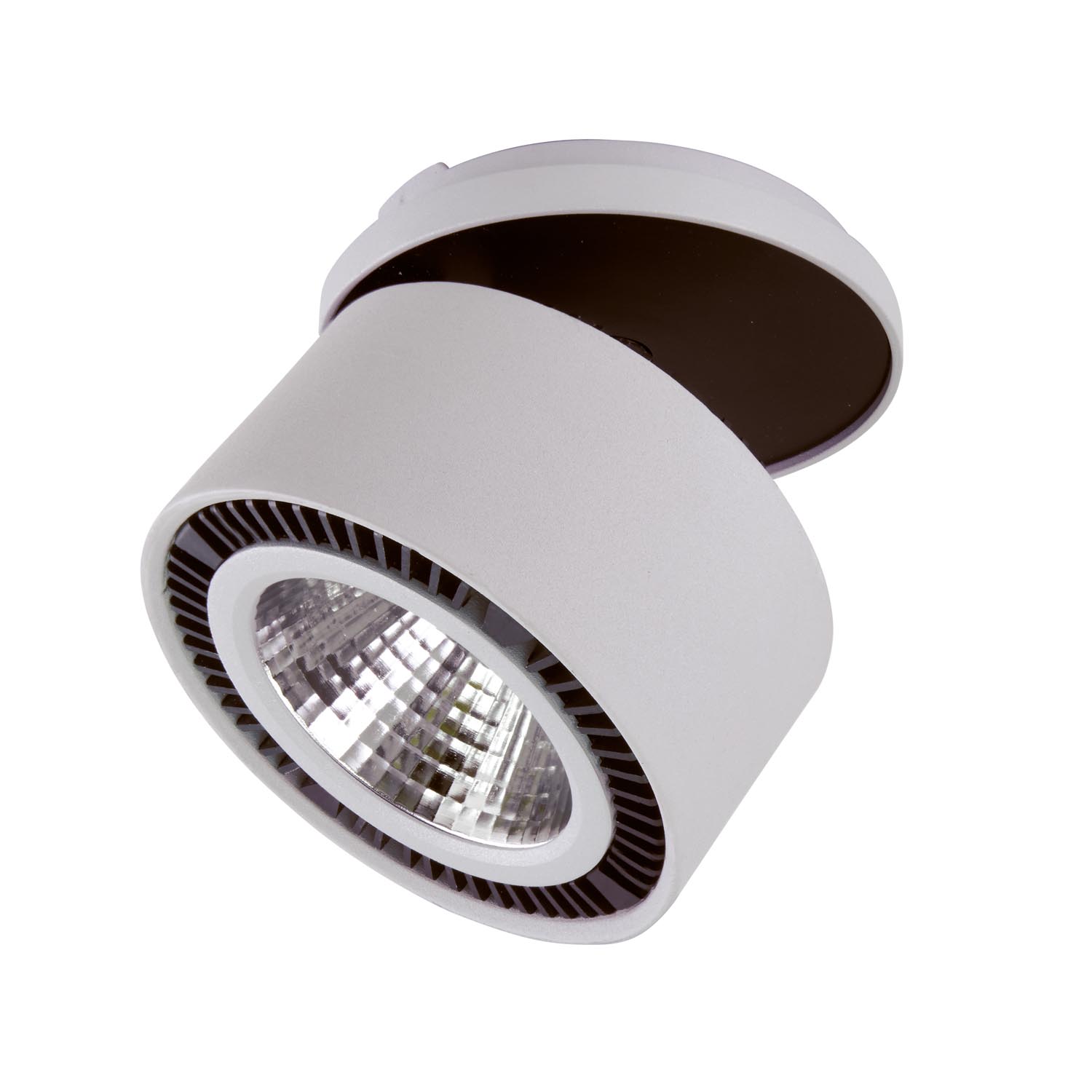 

Спот LightStar Forte 213829, 213829