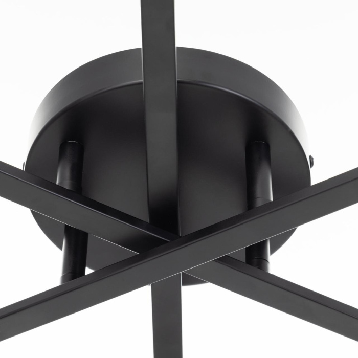 Потолочная люстра Citilux Glob CL209261