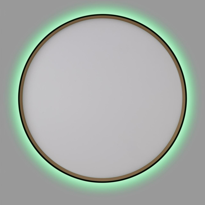 Потолочный светильник CitiLux ETALON CL750501R