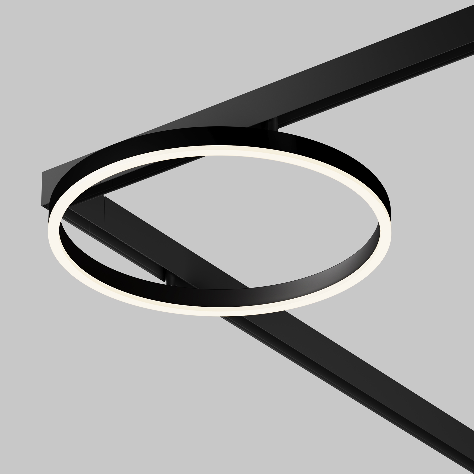 Трековый светильник Maytoni Rim TR227-2-24W4K-B_MY