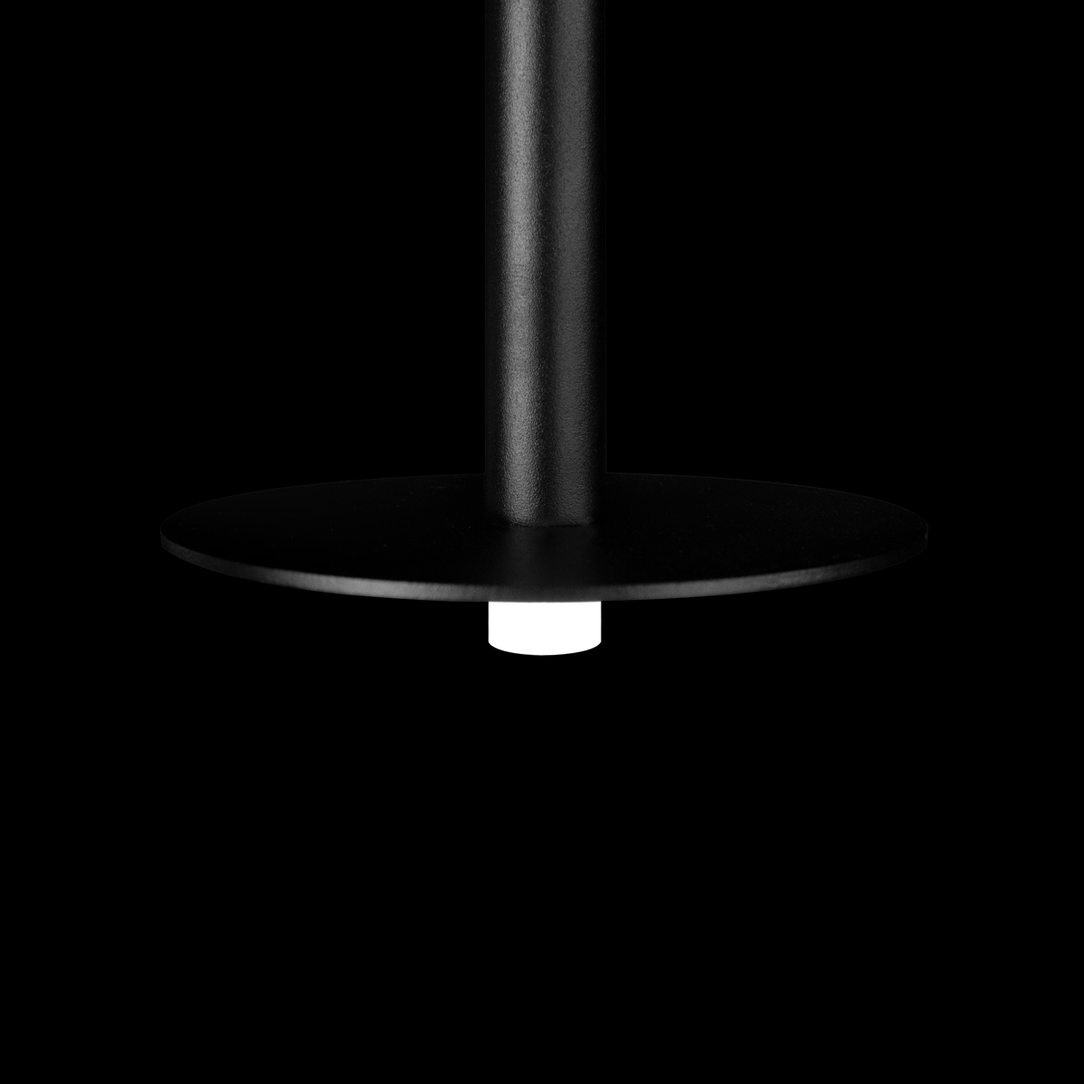 Подвесной светильник LOFT IT Reed 10358/830 Disk_LF