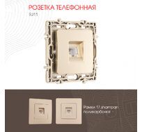 Розетка телефонная RJ11 Arte Milano 217.51-1.shampan