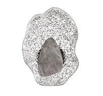 Настенный светильник ODEON LIGHT EXCLUSIVE CORALLA 5461/12WLB