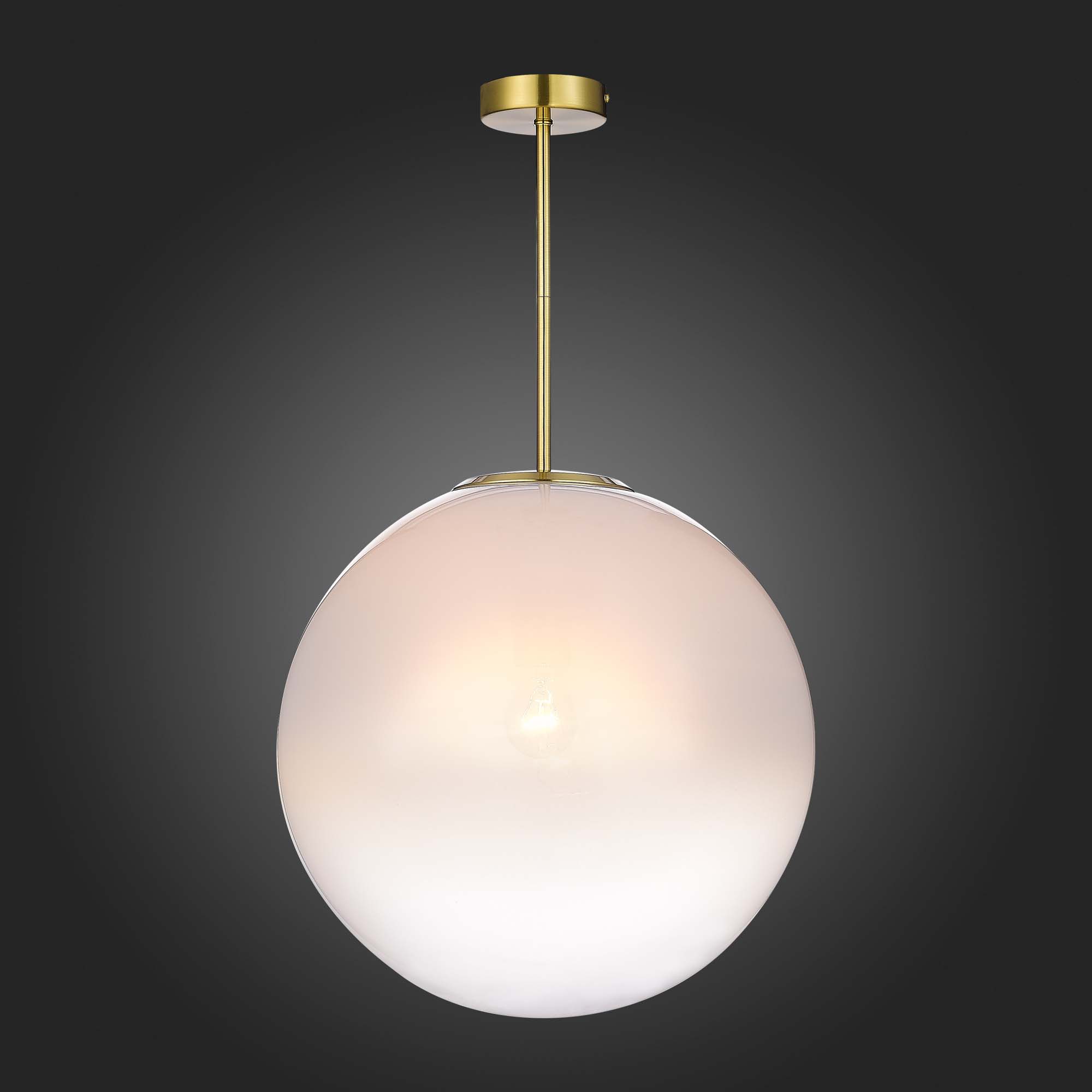 Подвесной светильник ST Luce CASSIUS Modern SL1190.222.01