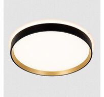 Потолочный светильник CitiLux ETALON CL750321R