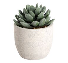 Искусственное растение в горшке Eglo Living CHITOSE 428011