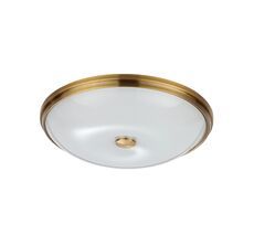 Потолочный светильник Odeon Light PELOW 4956/5