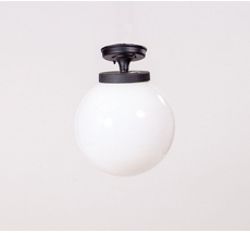 Потолочный светильник уличный IP44 Oasis Light 88205LA Bl_OL