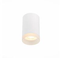 Потолочный светильник ST Luce ST100 ST100.502.01