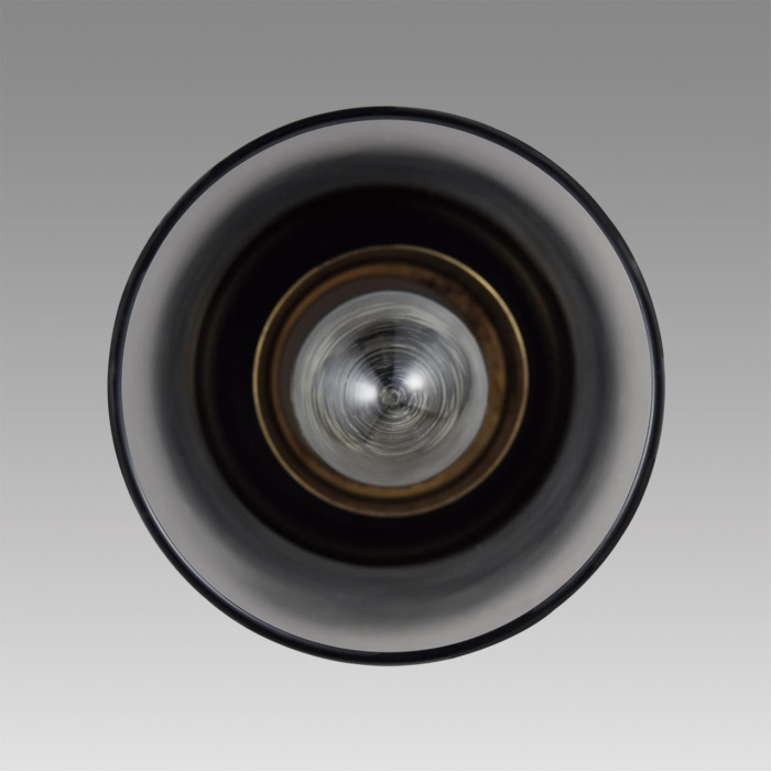 Подвесной светильник Lumion ISHA 8101/1A