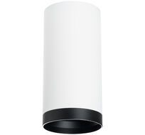 Накладной светильник LightStar Rullo R64863487_LS