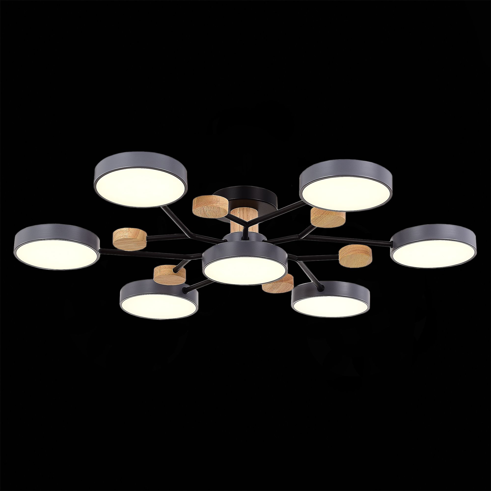 Потолочная люстра Evoluce FAEMA SLE6006-702-07