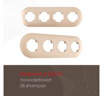 Рамка из поликарбоната на 4 поста Arte Milano 502.08-4.shampan