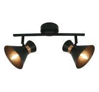 Спот ArteLamp Baltimore A1406AP-2BK