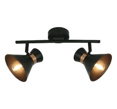 Спот ArteLamp Baltimore A1406AP-2BK