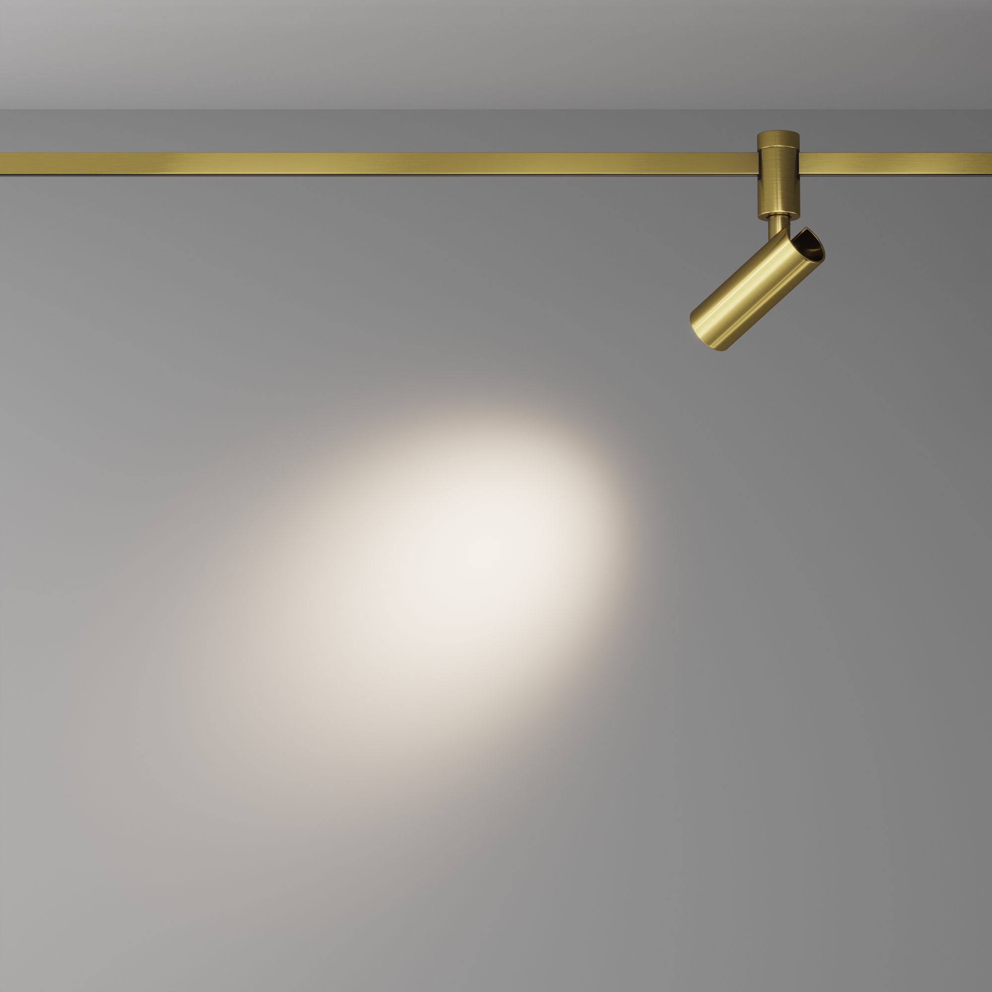 Трековый светильник Maytoni Focus Led TR144-1-5W3K-W-BS_MY