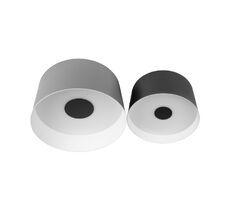 Потолочный светильник LOFT IT Duo 10360/2_LF