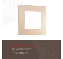 Рамка из поликарбоната на 1 пост Arte Milano 517.17-1.shampan