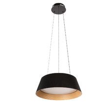 Подвесной светильник LOFT IT Evans 10224P Black_LF