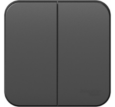 Выключатель накладной двухклавишный (антрацит) Systeme Electric BLNVA105006