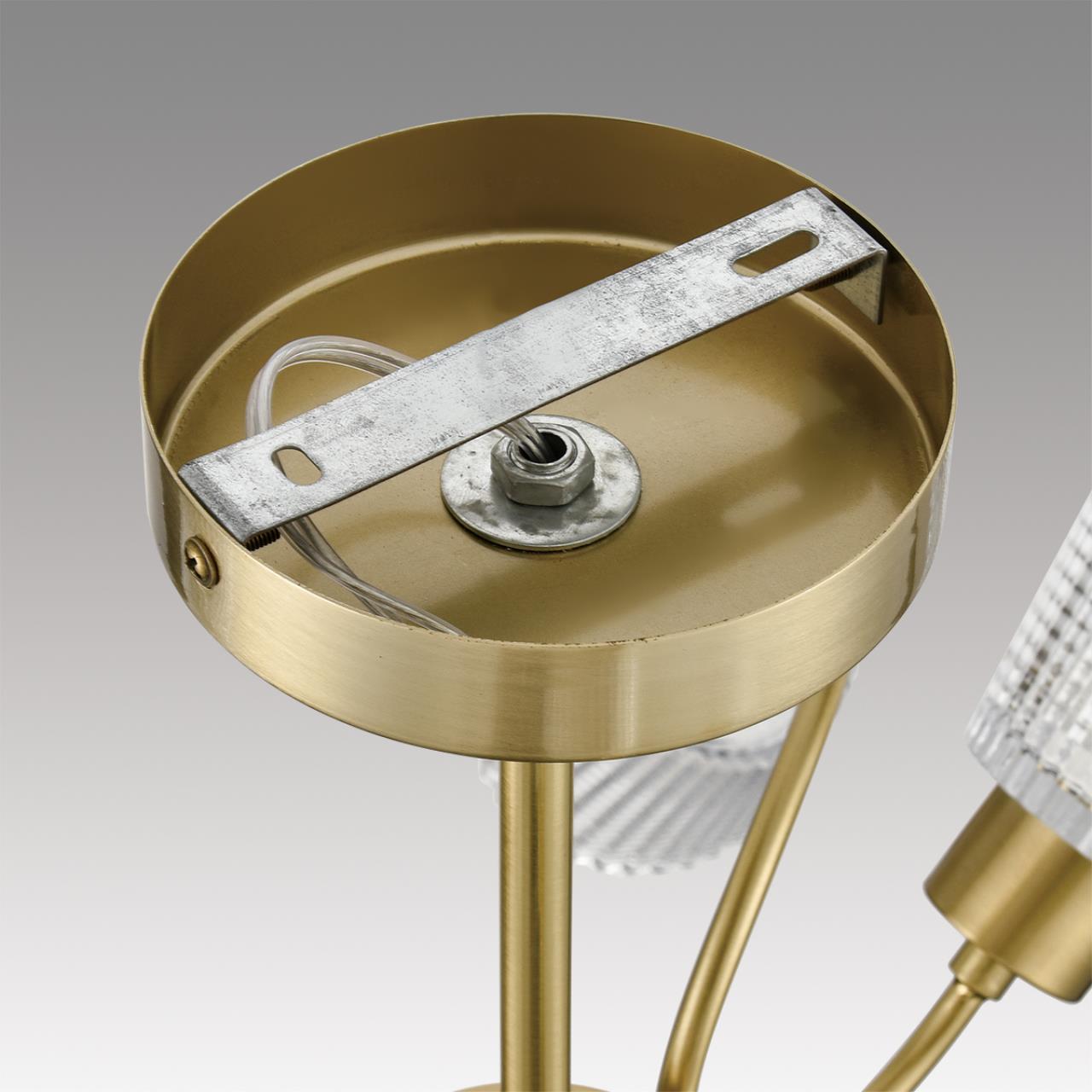 Потолочная люстра LUMION IMANA 8154/6C