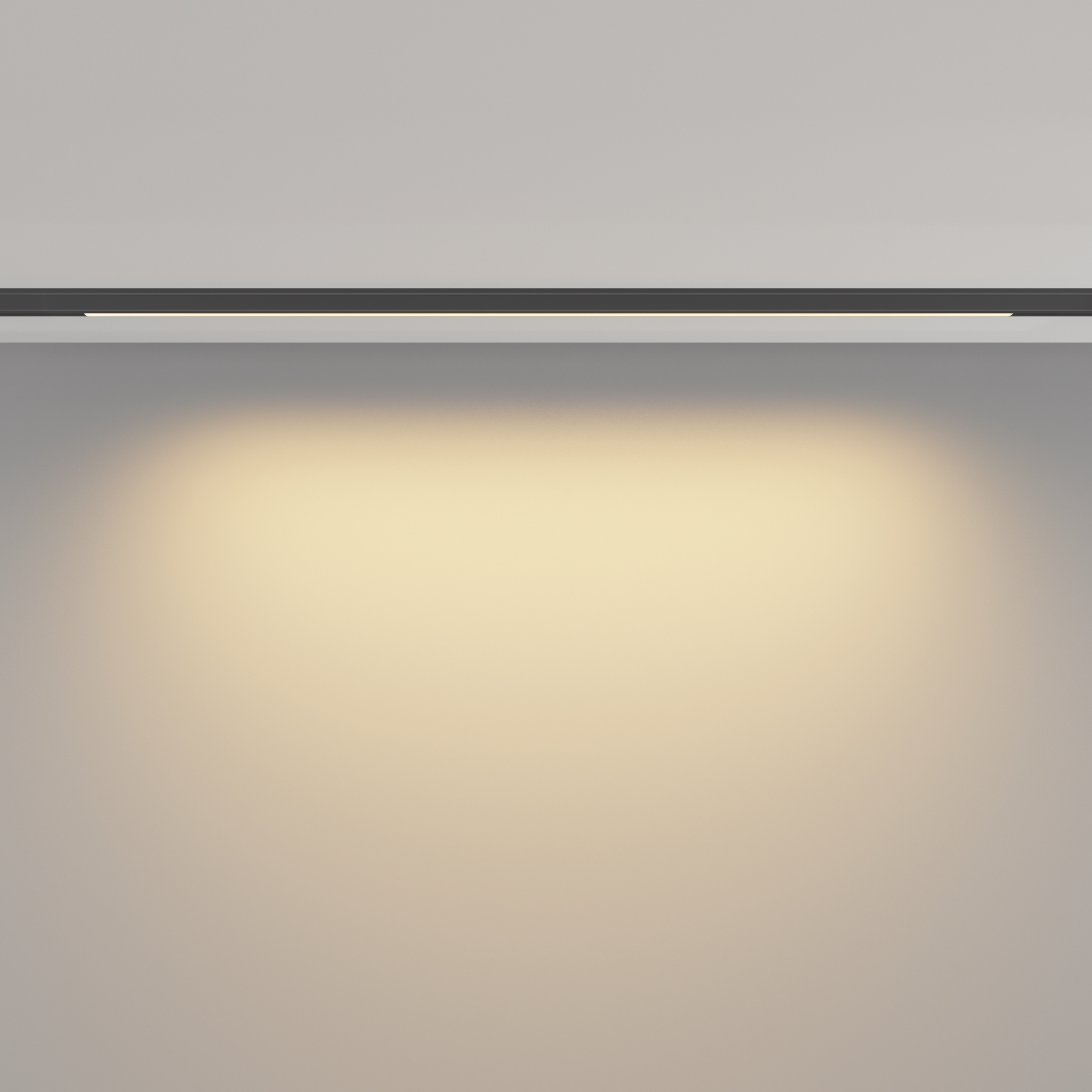 Трековый светильник Maytoni Basis TR190-1-10W2.7K-B_MY