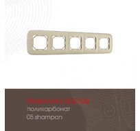 Рамка из поликарбоната на 5 постов Arte Milano 505.05-5.shampan
