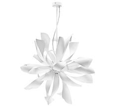 Подвесная люстра LightStar Turbio 754266_LS