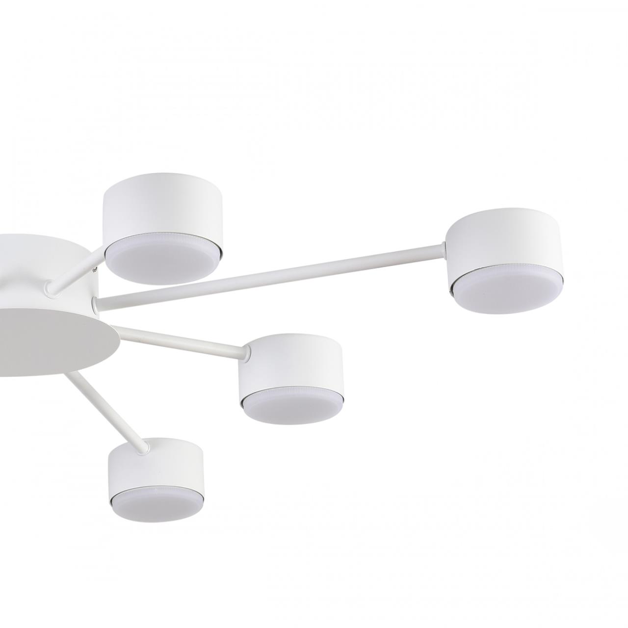 Потолочная люстра LUMION TORINA 8343/8C