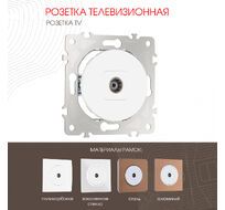 Розетка TV Arte Milano 202.43-1.white