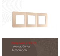 Рамка из поликарбоната на 3 поста Arte Milano 517.17-3.shampan