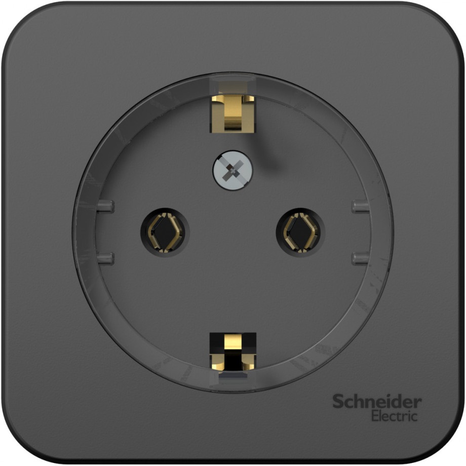 Розетка накладная с заземлением (антрацит) Systeme Electric BLNRA110116