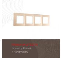 Рамка из поликарбоната на 4 поста Arte Milano 517.17-4.shampan