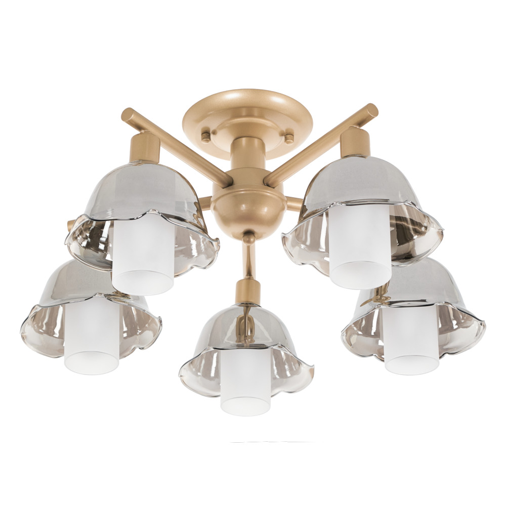 

Потолочная люстра на штанге MyFar Lisa MR1481-5C, MR1481-5C