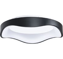 Потолочный светильник Arte Lamp A3085PL-48BK