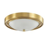 Настенно-потолочный светильник Lumion NINA 5259/2C