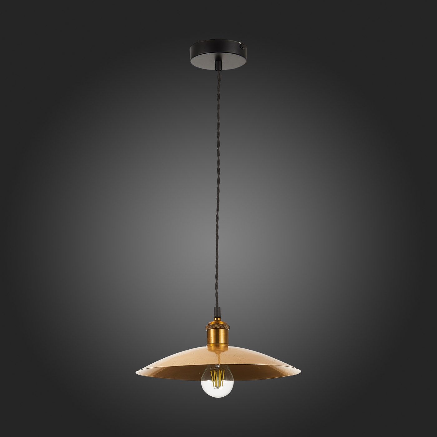 Подвесной светильник ST Luce ROMO SL1017.203.01